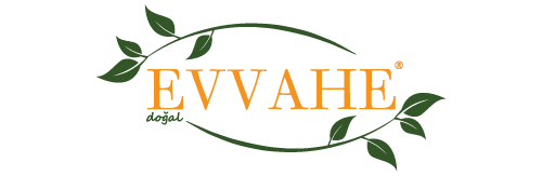 logo final-01.png (8 KB)