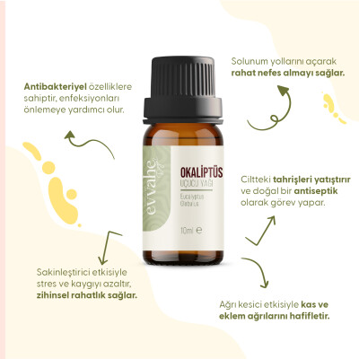 Okaliptus Yağı (10 ml) - 2
