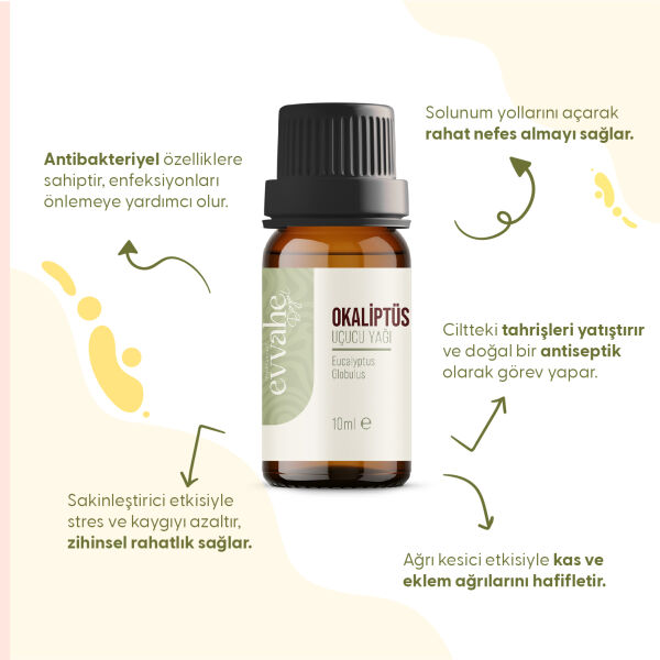 Okaliptus Yağı (10 ml) - 2